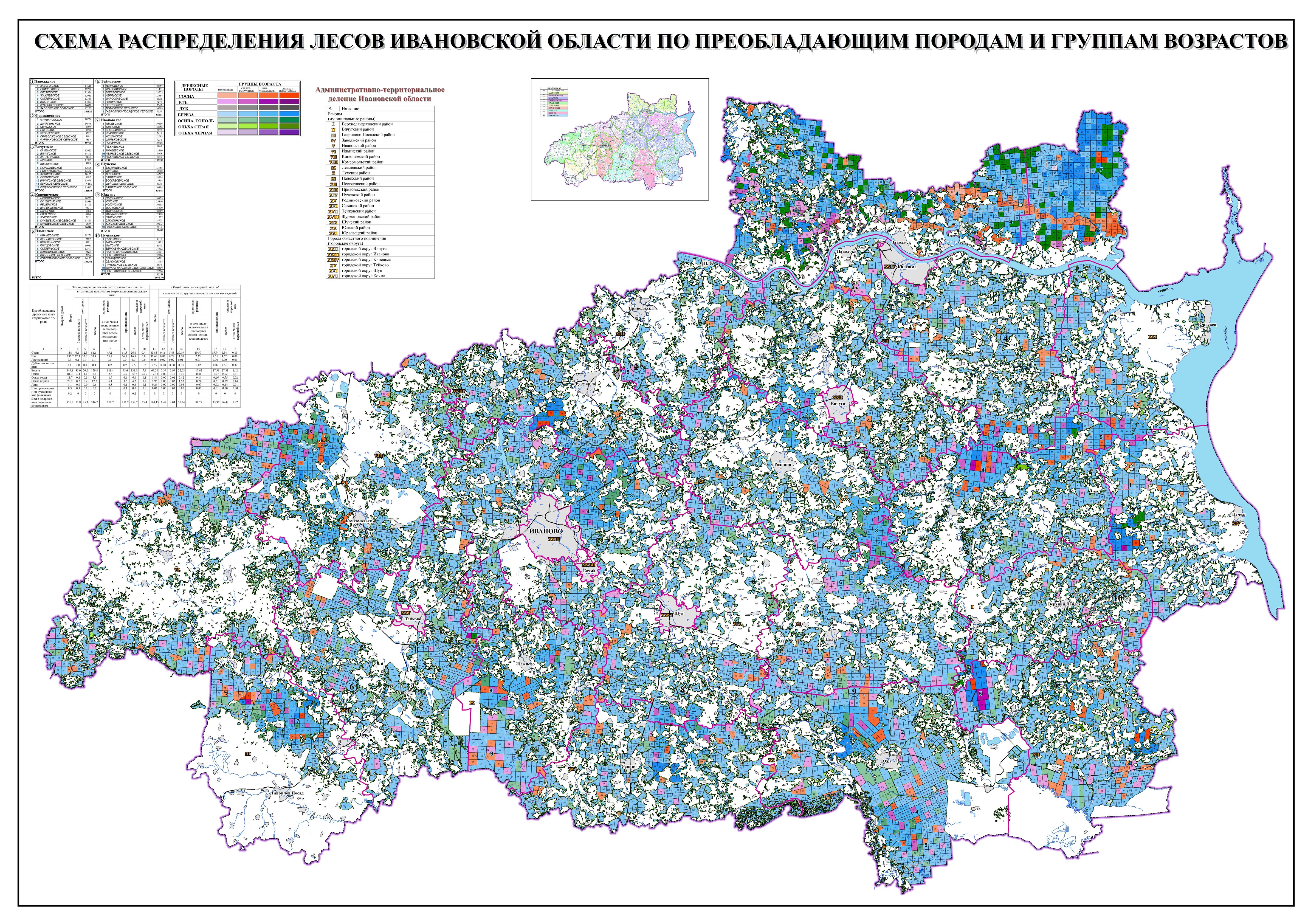 Лесной карта область. Карта схема лесов Ивановской области. Карта лесов Ивановской области подробная. Ивановская область Лесное хозяйство карта. Карта растительности Ивановской области.